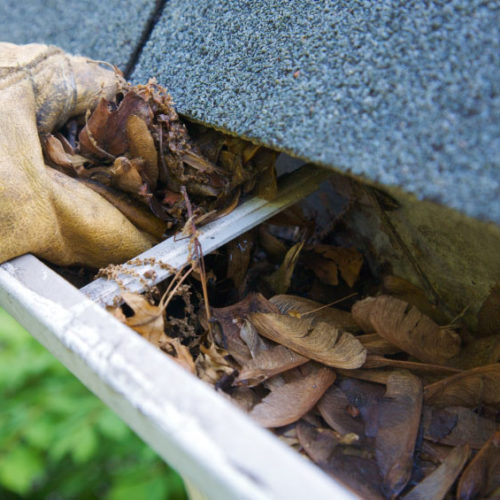 Cleaning leaves from a gutter